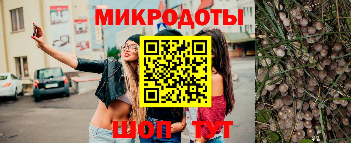 Псилоцибиновые грибы прущие грибы Богданович
